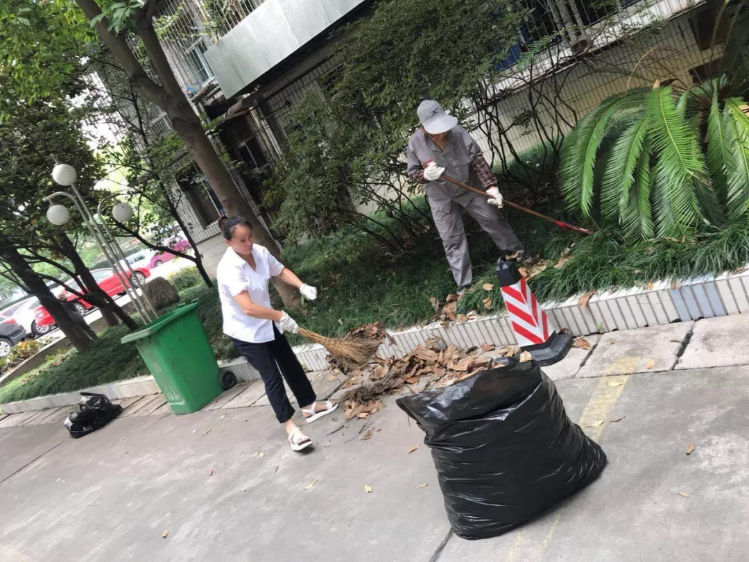 定襄金丹花园最新动态