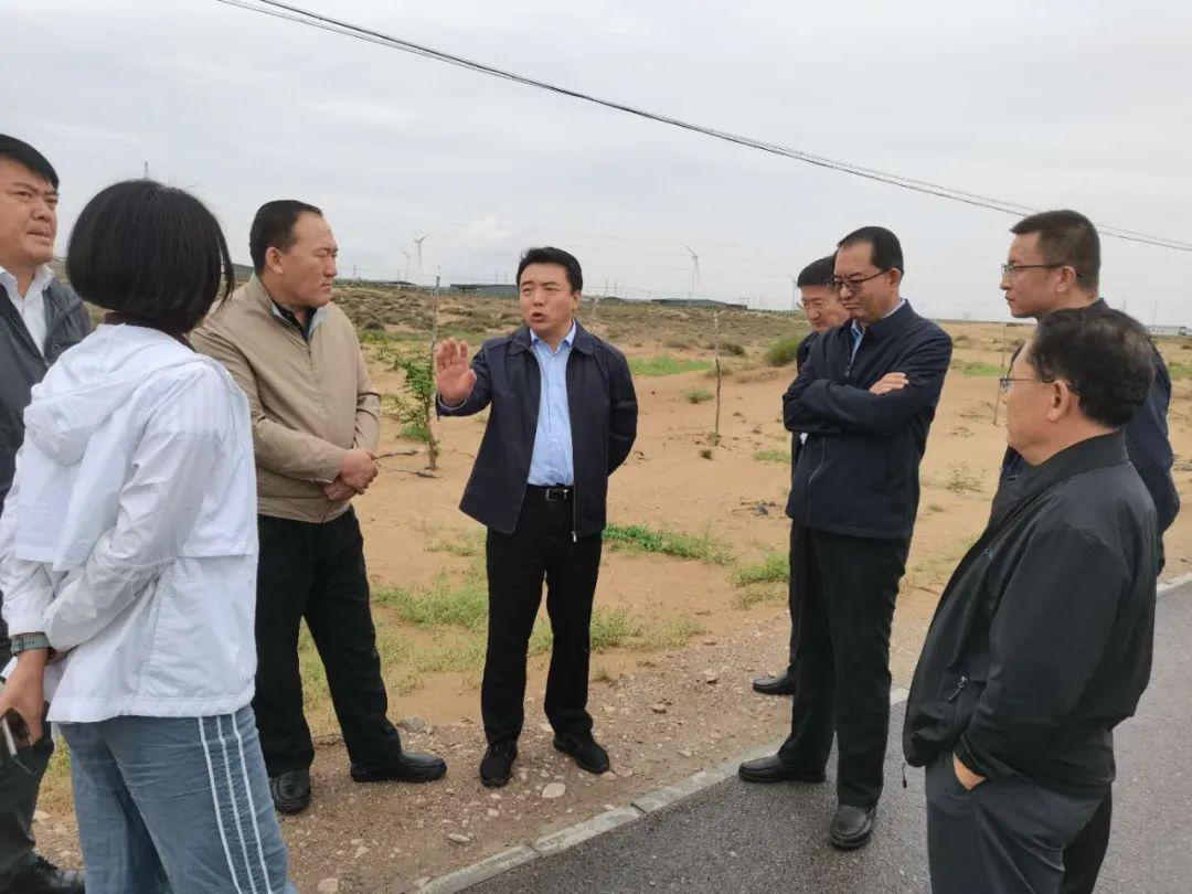 ＂新澳精准资料免费提供最新版＂的：行动规划执行_酷炫版3.35