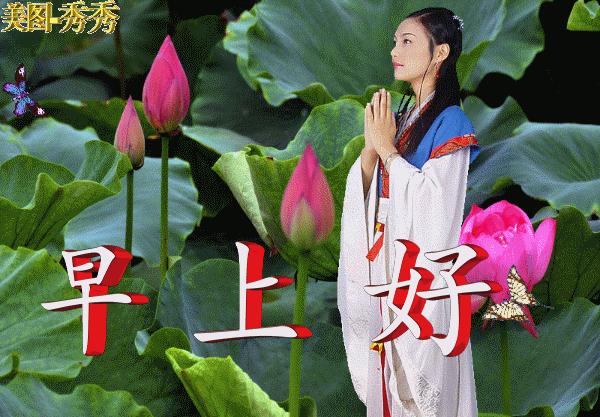 自然美景之旅，最美最新表情的饕餮盛宴