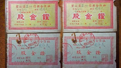 信用社股金背后的故事，能否上市？