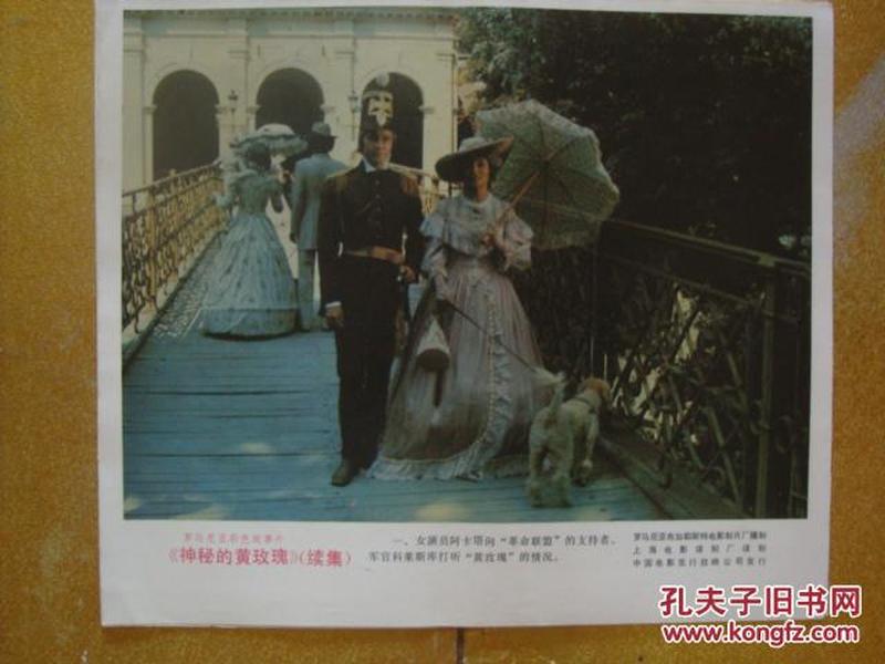 黄玫瑰电影，高科技魅力展现生活变革的艺术画卷