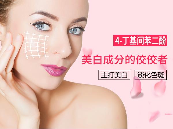 间苯二酚价格深度解析与观点阐述