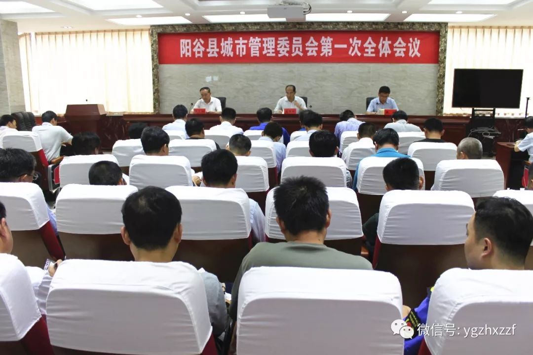 阳谷人事新闻最新动态与观点论述摘要
