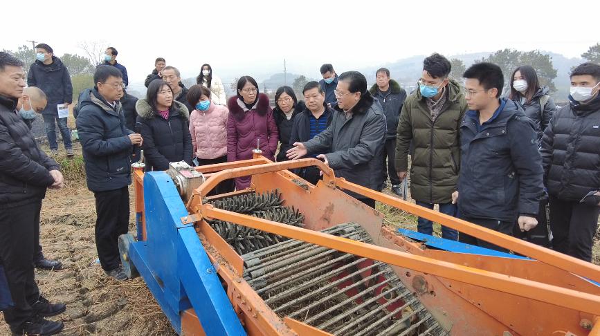 最新挖马蹄机观点论述，探讨其优势与创新之处
