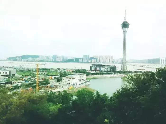 时代背景下的繁荣与影响，最新澳门娱乐网站综述