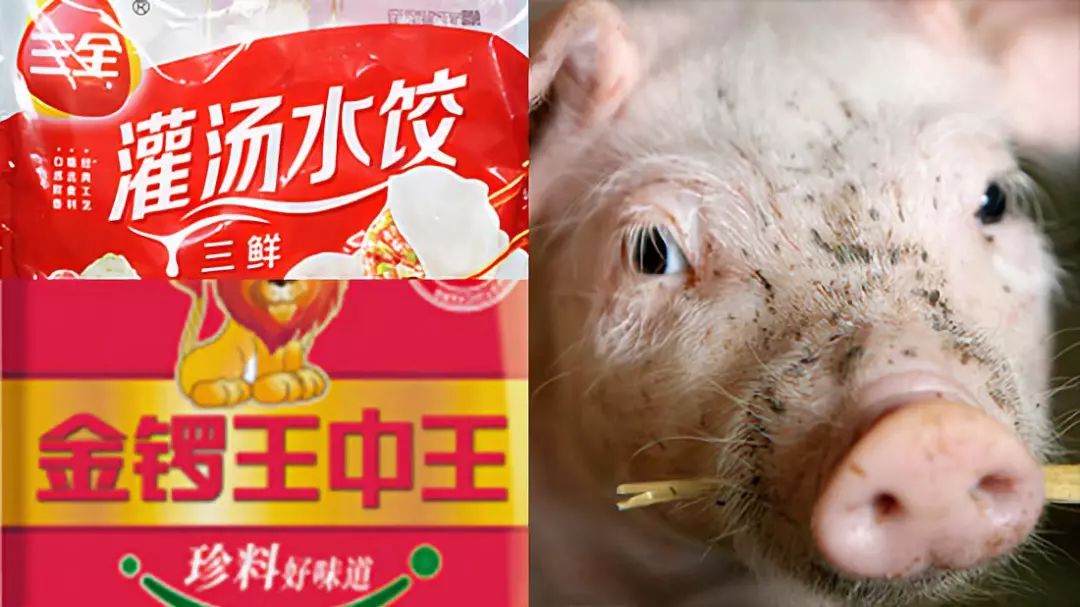 金锣最新动态，全面解读消息获取与解读指南