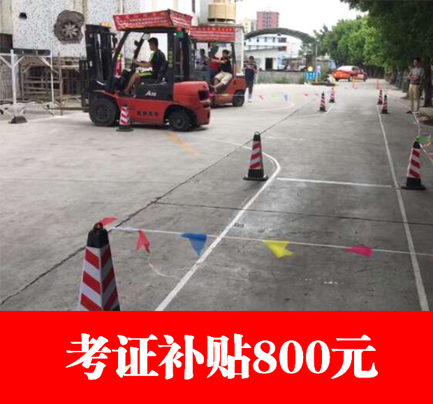 深圳叉车司机最新招聘，巷弄深处的隐藏职位揭秘