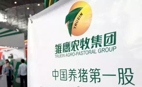 科技赋能农牧，智慧引领未来，雏鹰农牧股票最新动态分析报告。