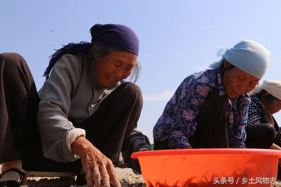 鲁北最新招工，时代的机遇与挑战降临